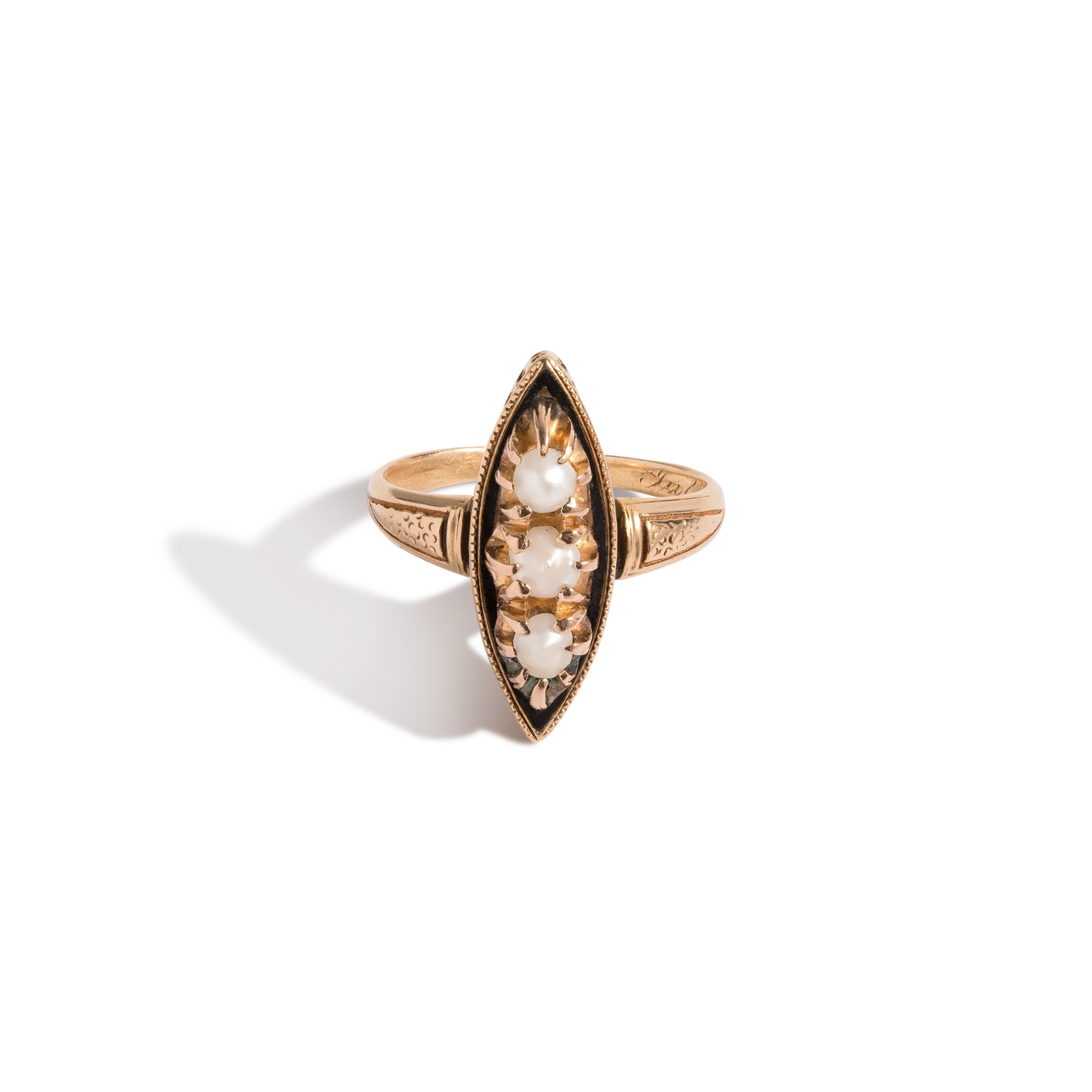 New In
