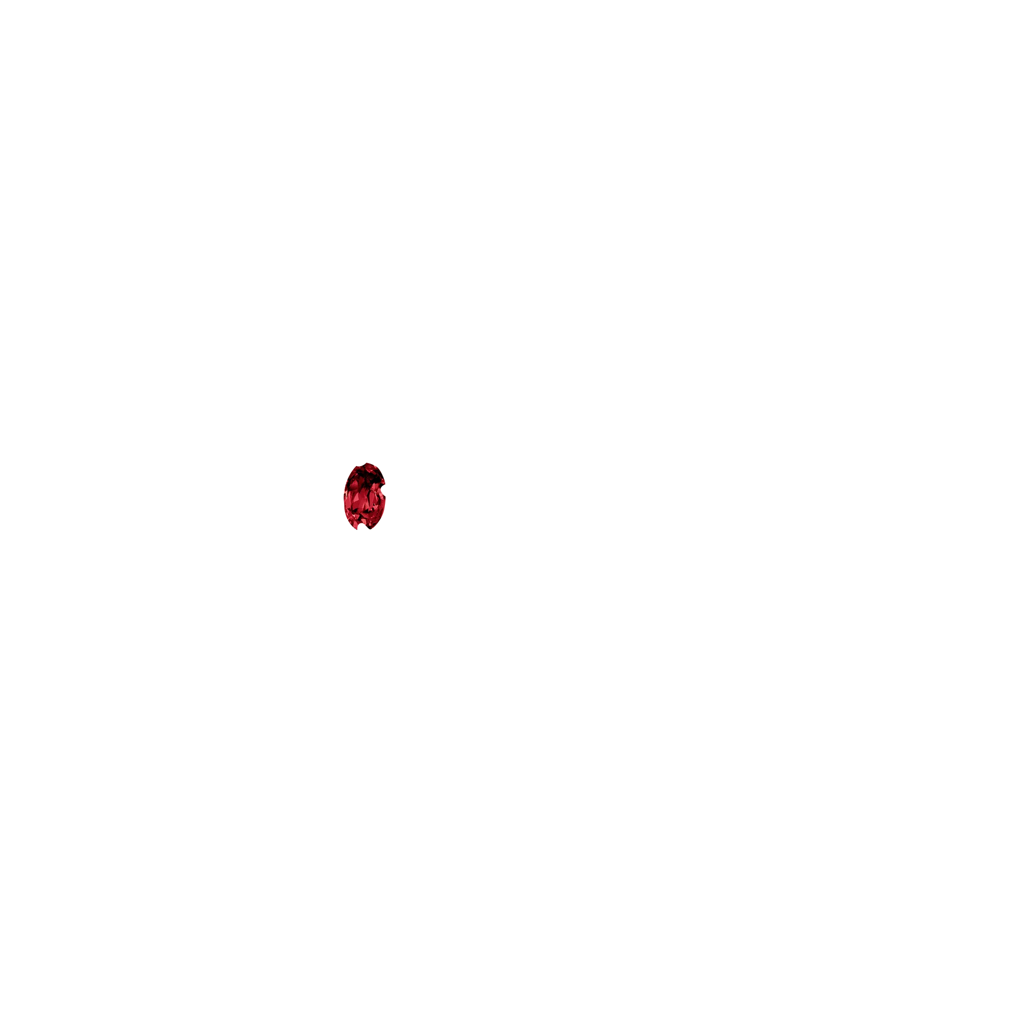 Thumbnail 37